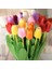 50'li 10 Farklı Mix Tulip Seed Lale Tohumu + 10'lu Kırmızı Antoryum Çiçek Tohumu 1
