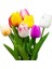 10'lu 10 Farklı Renk Mix Tulip Seed Lale Tohumu + 10'lu Kırmızı Orkide Çiçek Tohumu 1
