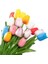 100'lü 10 Farklı Mix Tulip Seed Lale Tohumu + 10'lu Hollanda Gülü Çiçek Tohumu 1