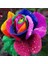 100'lü 10 Farklı Mix Tulip Seed Lale Tohumu + 10'lu Hollanda Gülü Çiçek Tohumu 4