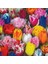 100'lü 10 Farklı Mix Tulip Seed Lale Tohumu + 10'lu Hollanda Gülü Çiçek Tohumu 1