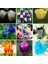 50'li 10 Farklı Mix Tulip Seed Lale Tohumu + 10'lu Kırmızı Antoryum Çiçek Tohumu 1