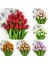 10'lu 10 Farklı Renk Mix Tulip Seed Lale Tohumu + 10'lu Kırmızı Antoryum Çiçek Tohumu 1