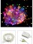Evvelelektronik 10 Metre 100 Ledli 8 Fonksiyonlu Karışık Renkli Rgb LED Lamba 4
