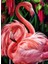 Çiçekler Flamingo Dıy Elmas Mozaik Tablo Mozaik Puzzle 30X40 Cm (Yurt Dışından) 1