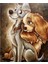 Çift Köpek Dıy Elmas Mozaik Tablo Mozaik Puzzle 30X40 Cm Dekorları Tablo (Yurt Dışından) 1
