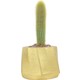  Renk Gold