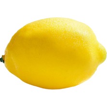 Nettenevime Yapay Meyve Sebze Limon
