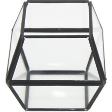 Mutlu Adım 11 x 10 cm Cam Fanus Çokgen Prizma Terrarium