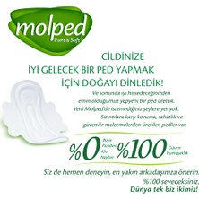 Molped Pure&Soft Hijyenik Ped Gece Dev Ekonomik 24 Adet