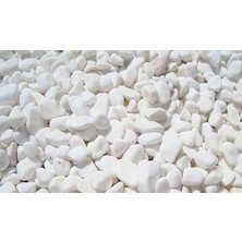 Dolomite Bahçe Süsleme Podima Dolomit Taşı 1,5 - 2,5 cm 10 kg