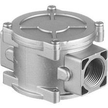 Tork 1'' Doğalgaz Filtresi