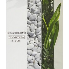 Hhk Beyaz Dolomit Doğal Dekoratif Taş 4-6 Cm 25 Kg