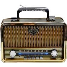 Polygold PG-4401 Nostaljik Radyo