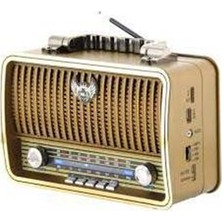 Polygold PG-4401 Nostaljik Radyo