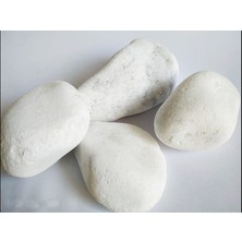 Dolomite Beyaz Dolomit Taş 1 kg 5 - 10 cm Akvaryum Çakıl Bahçe Terrarium Taşı