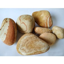 Dolomite Sarı Dolomit Taş 1 kg 6 - 8 cm Akvaryum Çakıl Bahçe Terrarium Taşı