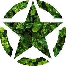Sticker Atölyesi Bitki Desenli Askeri Yıldız - 205016-1