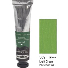 Bigpoint 509 Yağlı Boya 45 ml Light Green