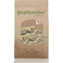 Yeşilçavdar Çam Sakızı 500 g