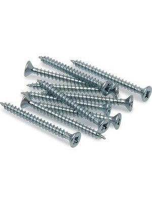 Wunder 5.0X100 Sunta Vidası 100'lü