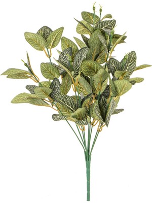 Euro Flora Yapay Fittonia Demet 40 cm