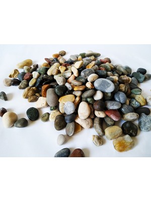Dolomite Mix Dolomit Taş 1 kg 1 - 2 cm Akvaryum Çakıl Bahçe Terrarium Taşı