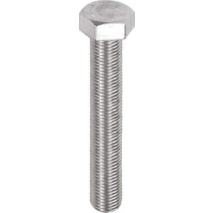 M8X100 Din 933 A2 Akb Tam Diş Paslanmaz Inox Cıvata 10'lu