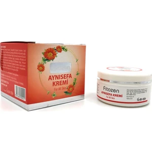 Aynı Sefa Kremi 100ML