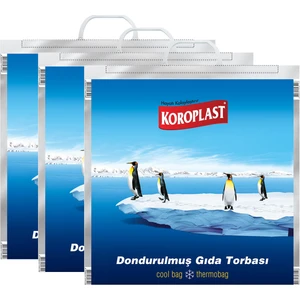 Dondurulmuş Gıda Torbası 50CM x 52CM - 3'lü