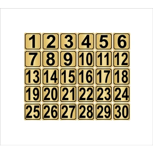 Özarslan DizaynMetal Kapı Masa Dolap Numarası 5 x 5 cm 30'lu 1-30 Altın