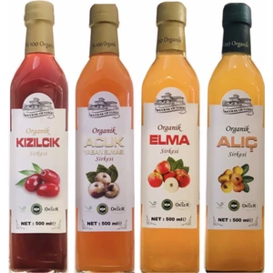 Bayrak Çiftliği Sirke x 4'lü - 500 ml