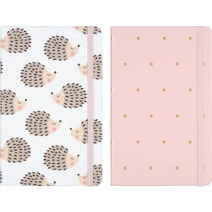 Matt Notebook 2'li Defter Seti 13 x 21 Lastikli Çizgili