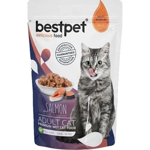 Adult Jelly Somonlu Kedi Pouch Mama 85 gr