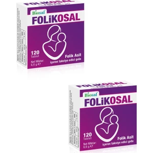 Folik Asit 400 Mcg 120 Tablet 2 Kutu