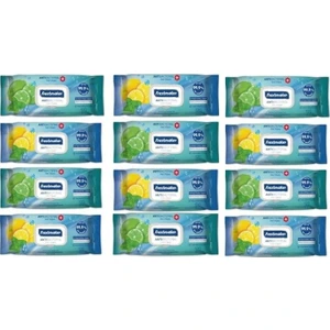 Islak Mendil 12 x 120'LI