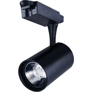 30W Led Ray Spot Siyah Kasa Beyaz Işık