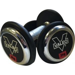 2 kg Tek Adet Kauçuk Kaplı Dambıl