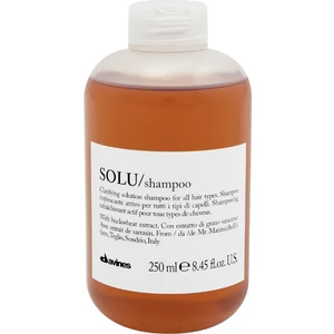 Davınes Solu Arındırıcı Derin Temizleme Şampuanı 250Ml