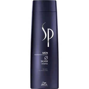 Sp Men Silver Şampuan 250Ml