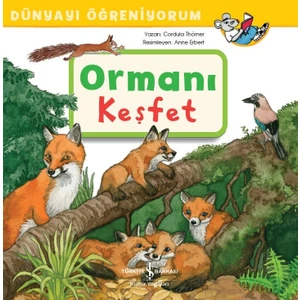 Ormanı Keşfet Dünyayı Öğreniyorum - Cordula Thörner