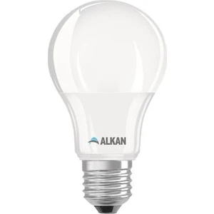 LED Ampul 6500K Beyaz 9 W 10'lu