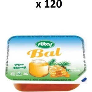 Çam Balı 20 gr x 120'li