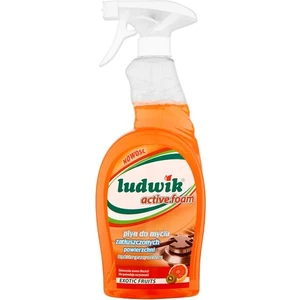 Mutfak Aktif Köpük Ultra Yağ Çözücü Sprey Egzotik Meyveler 750 ml
