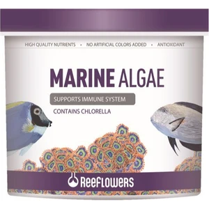 Reeflowers Marine Algae 1000 ml