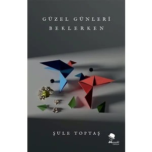 Güzel Günleri Beklerken - Şule Toptaş