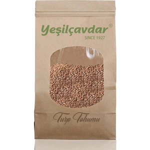 Turp Tohumu 500 g