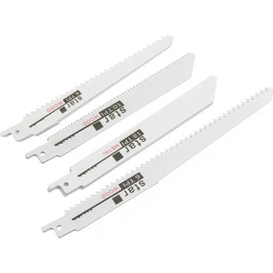 Ctn Paltava Star Tilki Kuyruğu Testere Seti 10'lu