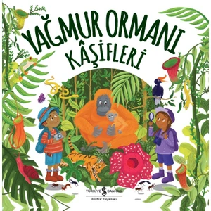 Yağmur Ormanı Kâşifleri - Marnie Willow