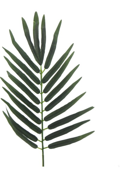 Mutlu Adım 5 Adet Palmiye Ağacı Yaprağı Yapay